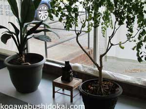 Plants and Buddah