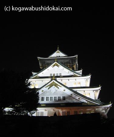 Osaka Castle at Night