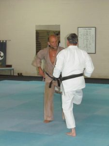 Kobudo, Sai